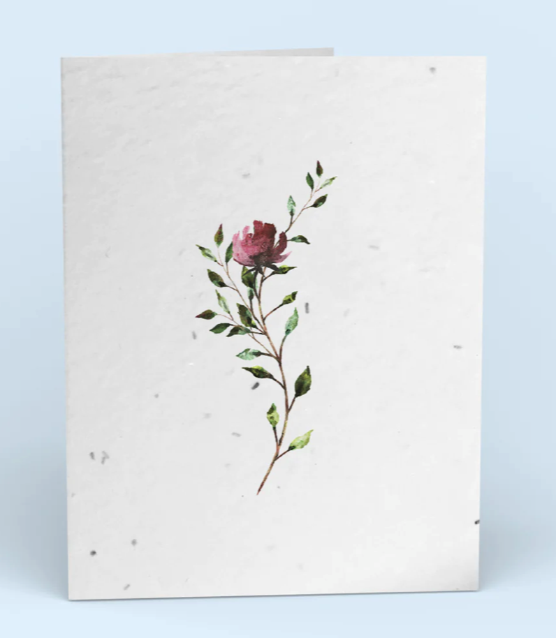 Cute Root End of Life Stationary