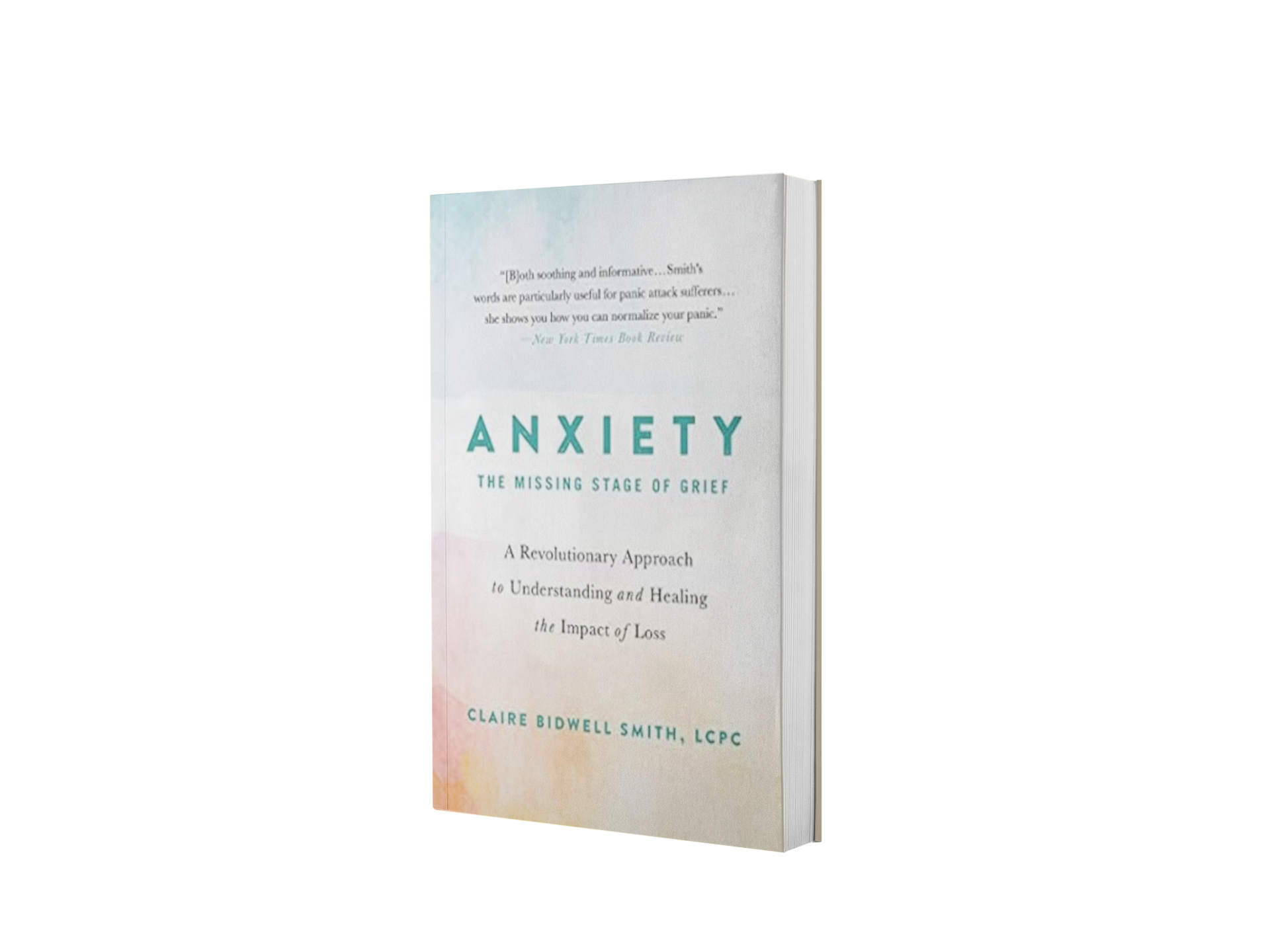 Anxiety: The Missing Stage of Grief: A Revolutionary Approach to Understanding and Healing the Impact of Loss