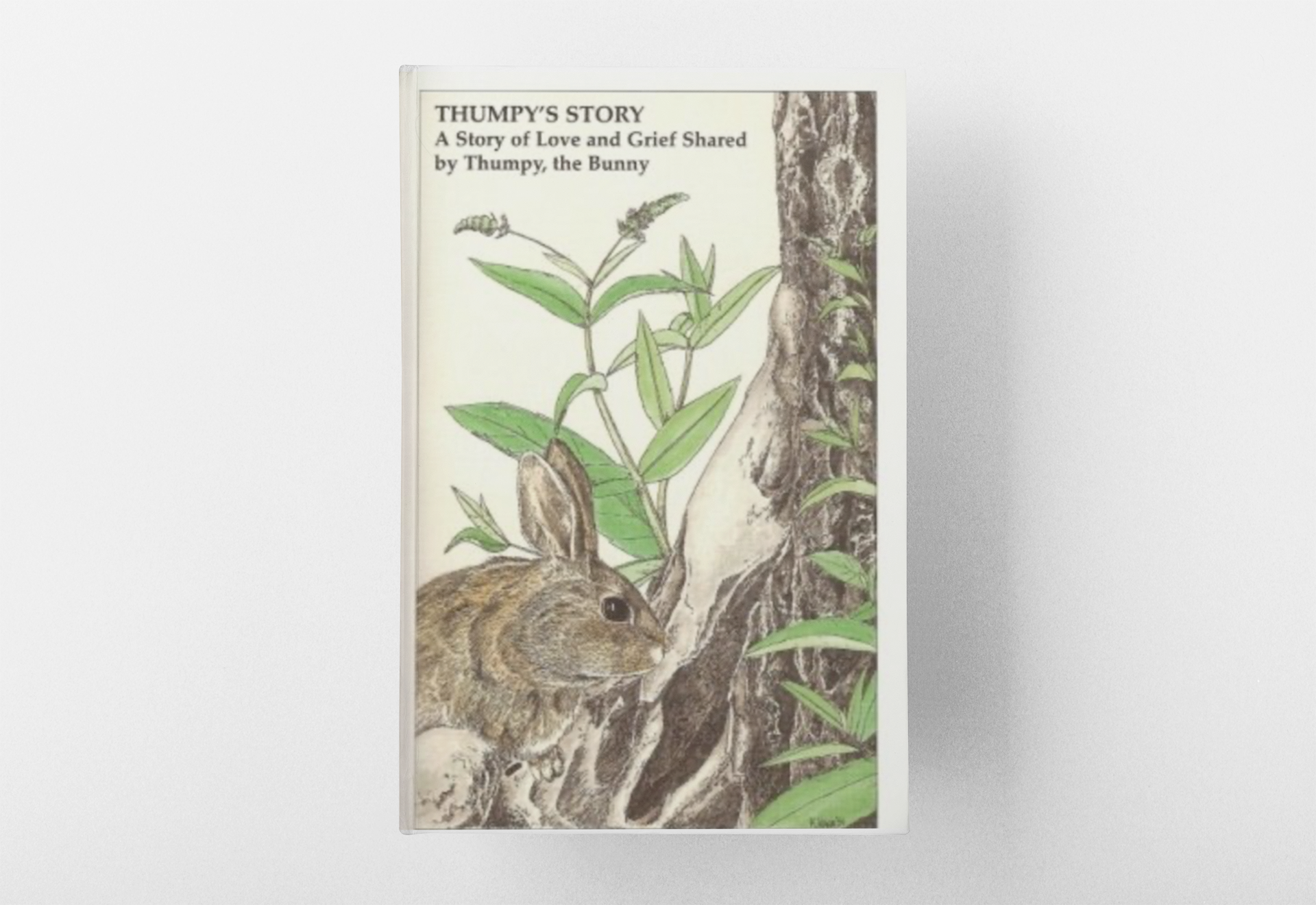 Thumpy's Story: A Story of Love & Grief Shared by Thumpy the Bunny 