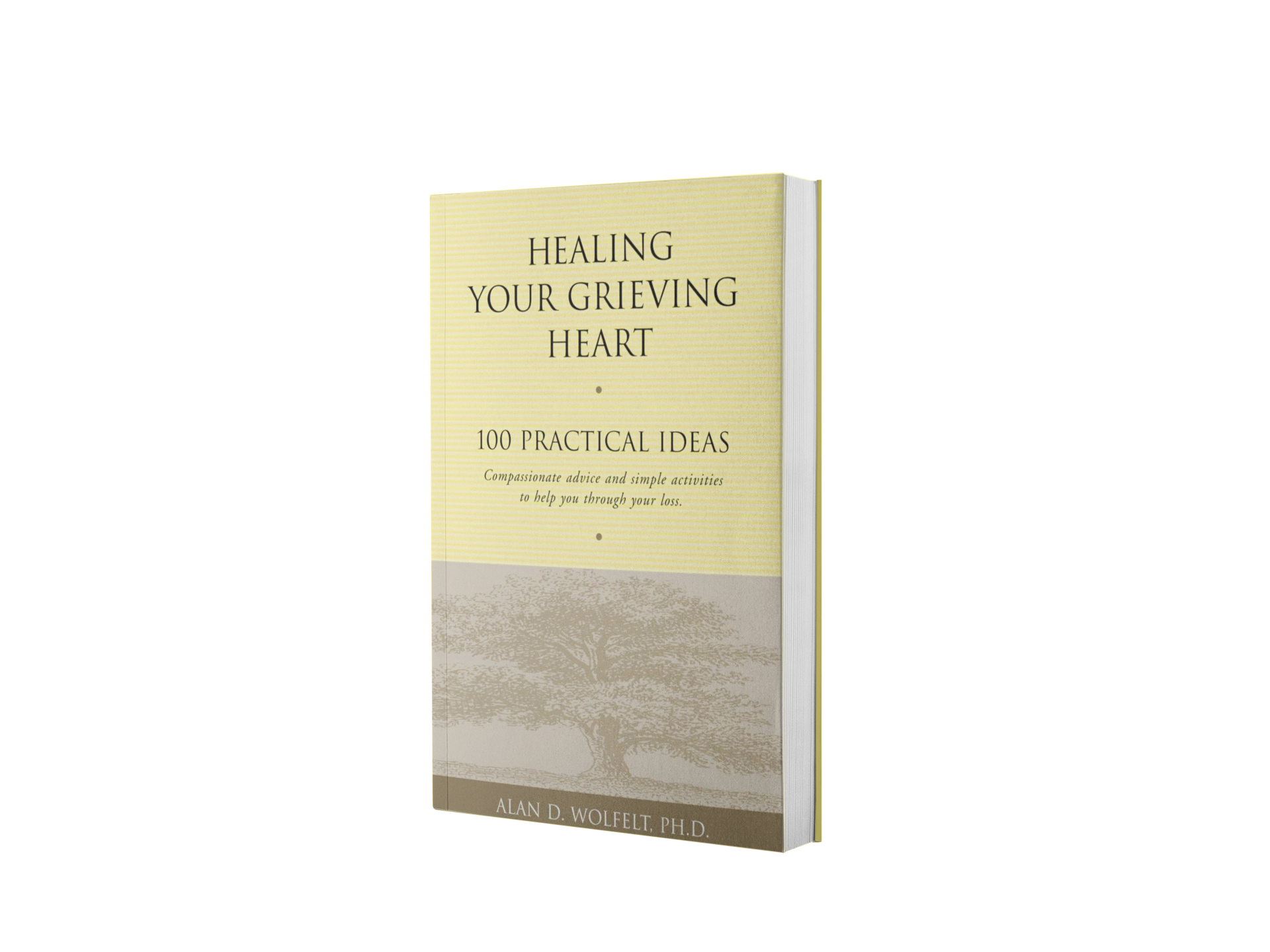 Healing Your Grieving Heart: 100 Practical Ideas